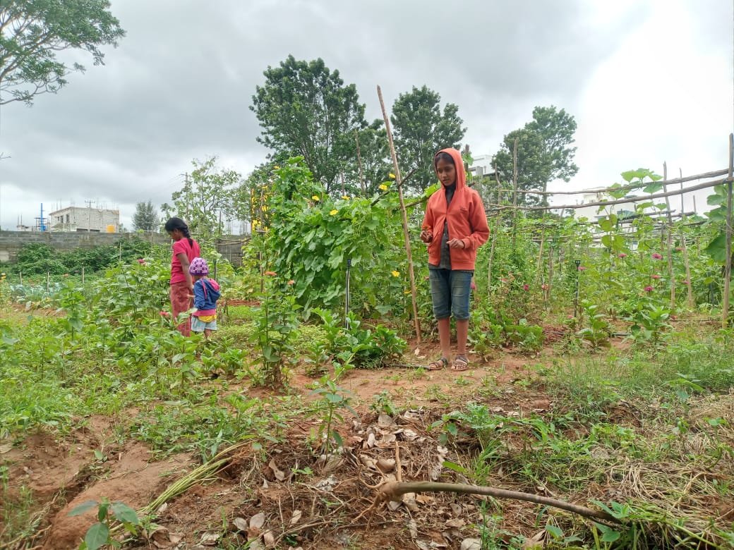 WhatsApp Image 2025-05-25 at 12.43.55