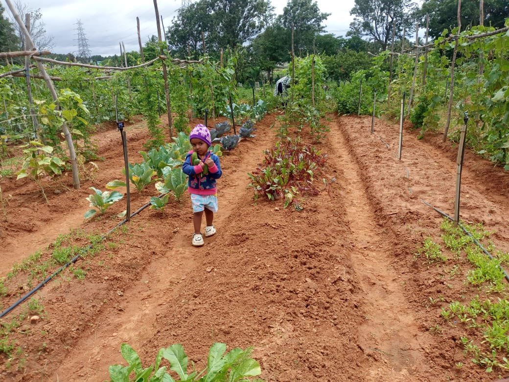 WhatsApp Image 2025-05-25 at 12.43.57 (1)