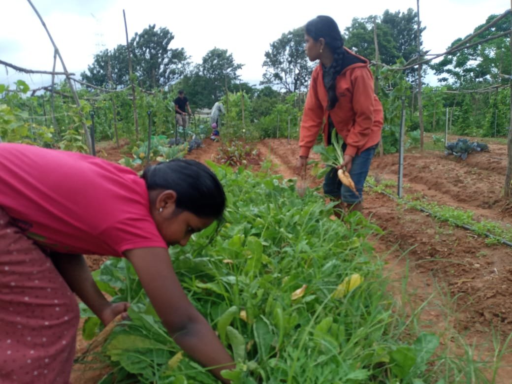 WhatsApp Image 2025-05-25 at 12.43.58 (1)