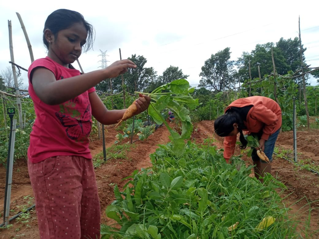 WhatsApp Image 2025-05-25 at 12.43.58